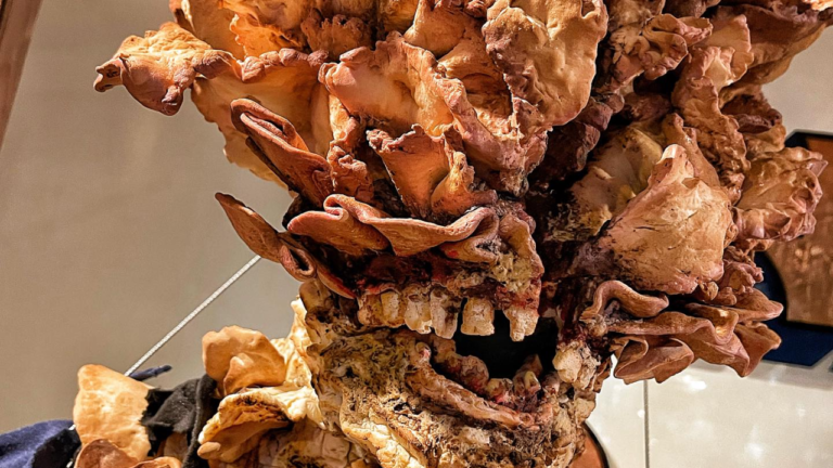 A Bakery Has Made an Incredible, Terrifying The Last of Us Clicker Out of Bread