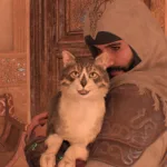 Assassin's Creed Mirage Features a Cat With an Assassin's Creed Branded Nose